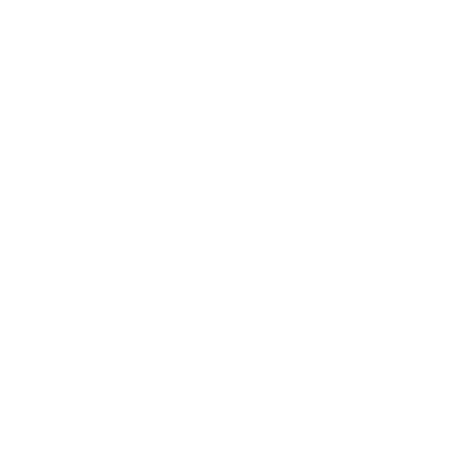 ISEAA White Logo