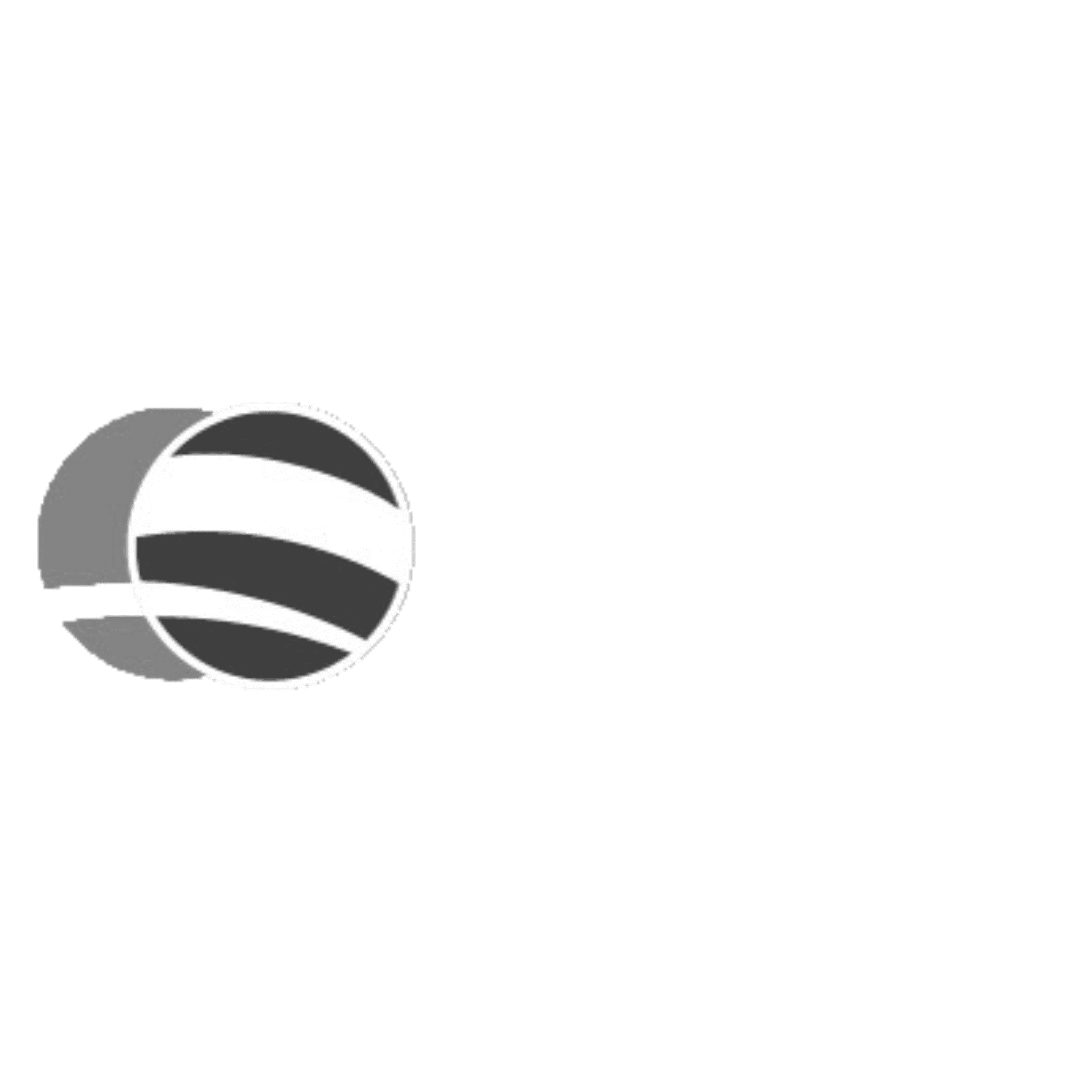 PIER White Grayscale Logo